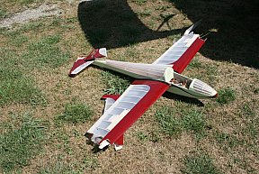 Cup Day Aero Tow 2015