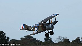 Monty Tyrrell 2018