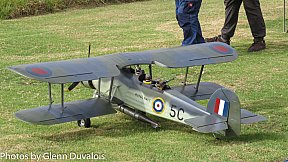 Monty Tyrrell 2017