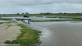Flood's 12 August 2019