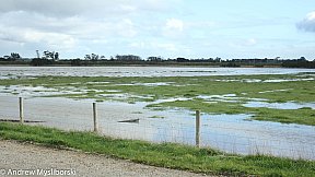 Flood's 12 August 2019