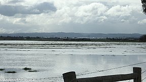 Flood's 12 August 2019