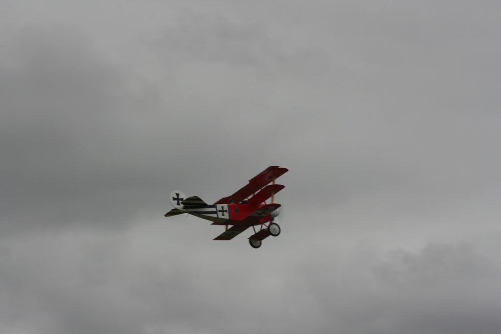 Monty Tyrrell 2014