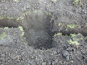 Irrigation System Upgrade