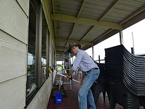 Working Bee October 23