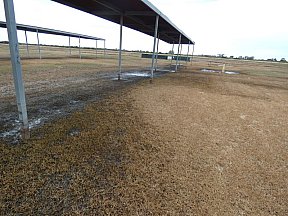 Flood Jan 24 Cleanup